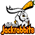 Jackrabbits
