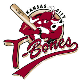 T-Bones