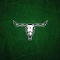 Steer