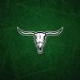 Steer