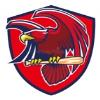Hawks