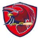 Hawks