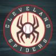 Cle Spiders