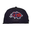 Fisher Cats