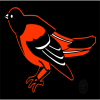 Orioles