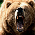 Grizzlies