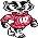 Badgers
