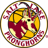 Pronghorns