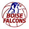 Falcons