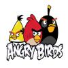 ANGRY BIRDS