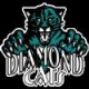 Diamond Cats