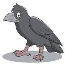 Crows
