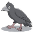 Crows