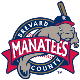 Manatees