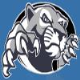 Mountain Lions