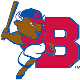 Bisons