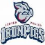 Ironpigs