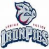 Ironpigs