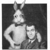 MAGIC RABBITS