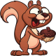 Squirrels