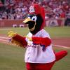 Redbirds