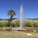Geysers