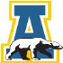 Nanooks