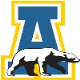 Nanooks