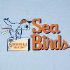 Sea Birds
