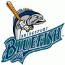 Bluefish