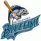 Bluefish