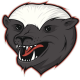Badgers