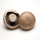 Mushrooms