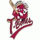 T-Bones