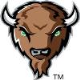 Bison