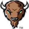 Bison