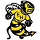 YellowJackets