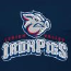 IronPigs