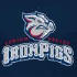 IronPigs