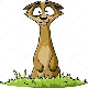 Meercats