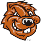 Beavers