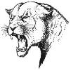 Cougars