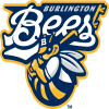 Bees