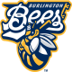 Bees