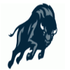 Buffaloes