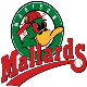 Mallards