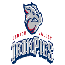 IronPigs