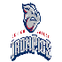 IronPigs