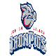 IronPigs