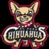 Chihuahuas